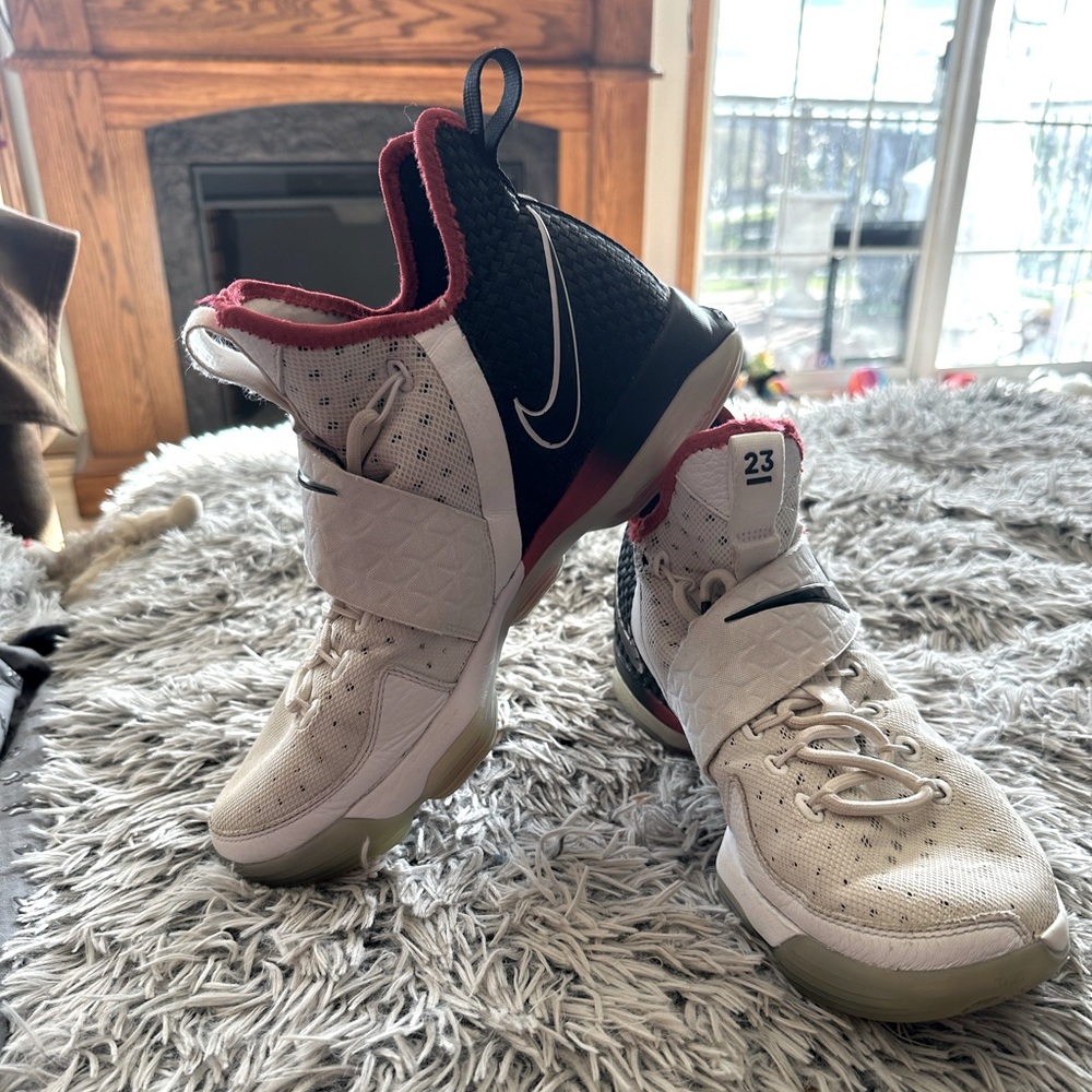 Lebron James basketball shoes